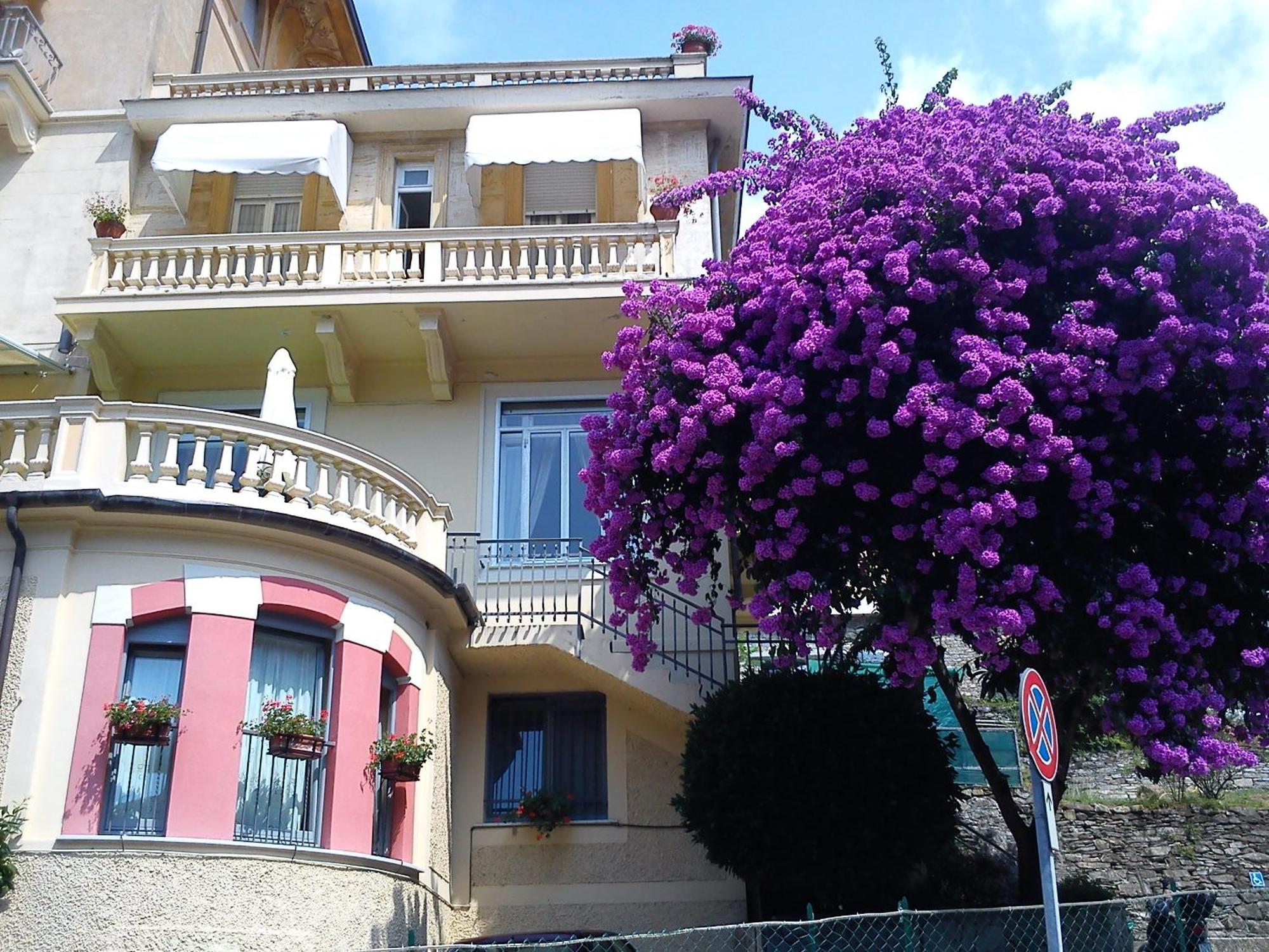 Hotel Canali, Portofino Coast Rapallo Bagian luar foto