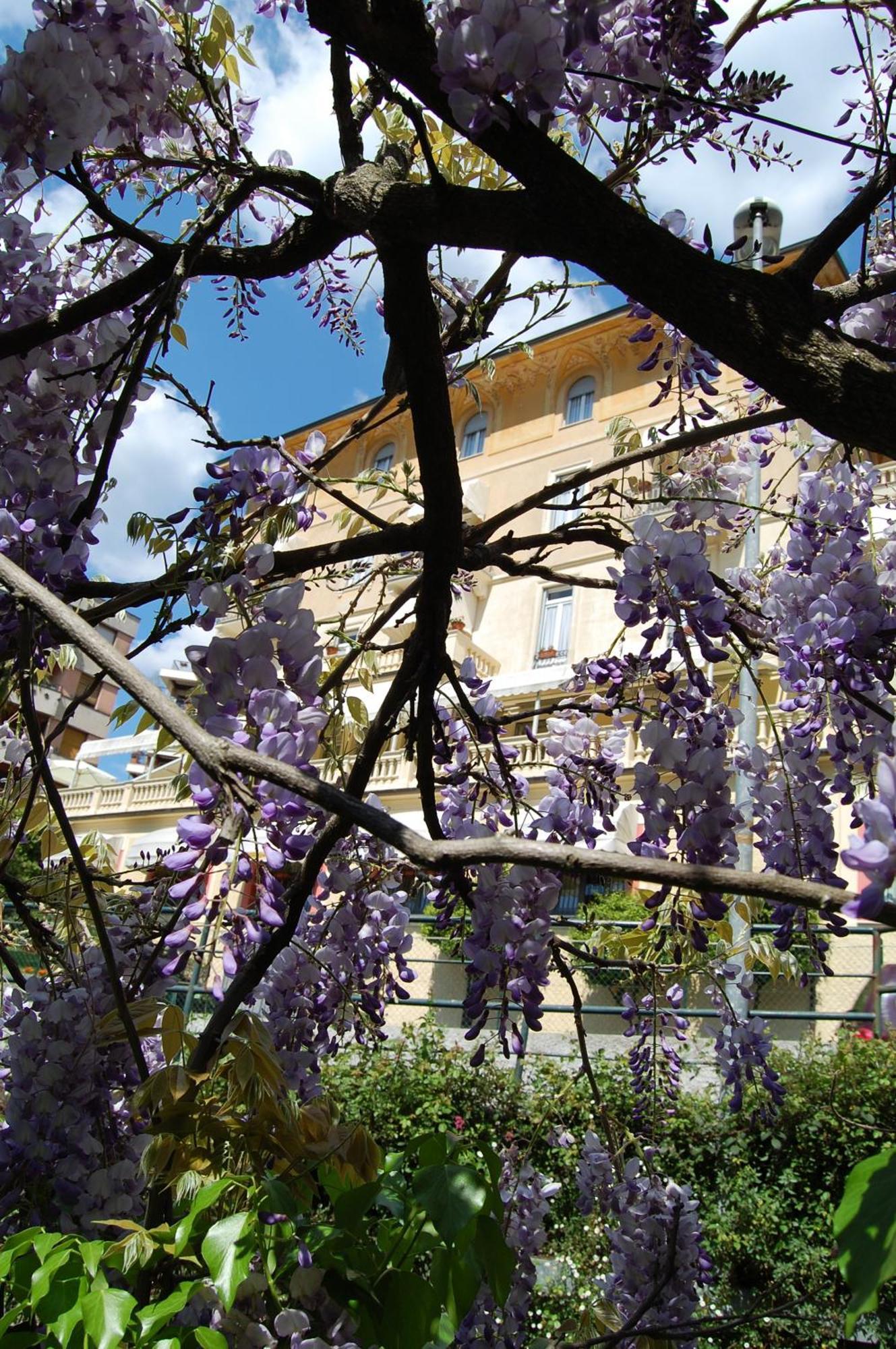 Hotel Canali, Portofino Coast Rapallo Bagian luar foto